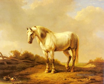 A White Stallion In A Landscape Eugene Verboeckhoven horse Oil Paintings